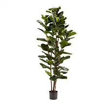 Nearly Natural 5.5 ft. Ficus Tree UV Resistant Indoor/Outdoor Plant - 9310241 | HSN