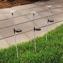 Pure Garden Solar-Powered LED Stake Lights