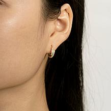 Radiance by Absolute™ Gold-Plated 0.78ctw Twin Pavé Mini Hoop Earrings