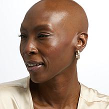 Radiance by Absolute™ Round Inside-Outside Semi Bezel Hoop Earrings