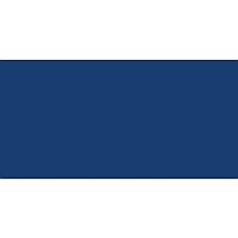 Ranger Archival Ink Jumbo Ink Pad #3-Cobalt