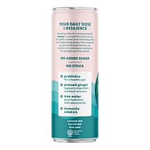 Recoup 12-pack Watermelon Blood Orange Organic Beverage with Ginger