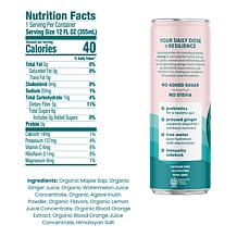 Recoup 12-pack Watermelon Blood Orange Organic Beverage with Ginger