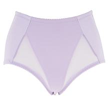 Rhonda Shear 2-pack Mesh Detail Brief