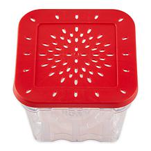 RSVP Set of 2 Berry Keepers