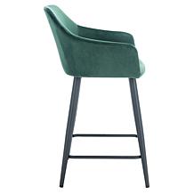 Safavieh Cataleya Counter Stool