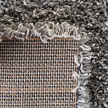 Safavieh Evolution Shag Charles 2'-7" X 5' Rug