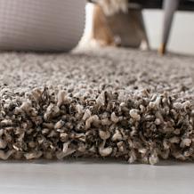 Safavieh Evolution Shag Charles 3'-11" X 6'-0" Rug