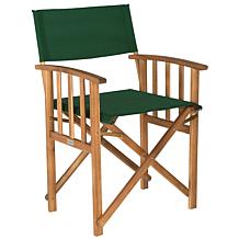 Safavieh Laguna Director Chairs - Set of 2