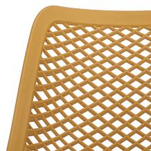 Safavieh Leila Dining Chair 2-Pack in Yellow
