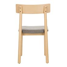 Safavieh Lizette Retro Dining Chair 2-pack