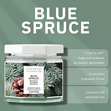 ScentWorx by Slatkin + Co. 2-Pack 14.5 oz. Blue Spruce Candles