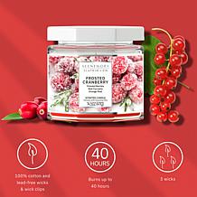 ScentWorx by Slatkin + Co. 2-Pack 14.5 oz. Frosted Cranberry Candles