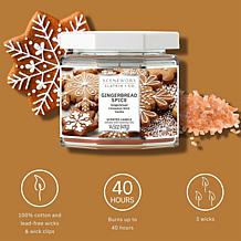 ScentWorx by Slatkin + Co. 2-Pack 14.5 oz. Gingerbread Spice Candles