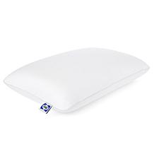 Sealy CleanComfort Memory Foam Pillow