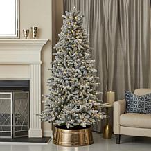 Seasonal LLC Palmetto Flocked 6' Pre-Lit RGBW Christmas Tree