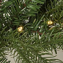 Seasonal LLC Palmetto Pine 6' Pre-Lit RGBW Garland w/Remote Control