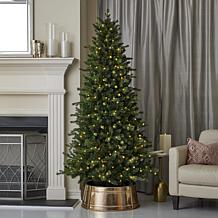 Seasonal LLC Palmetto Pine 6' Pre-Lit RGBW LED Christmas Tree