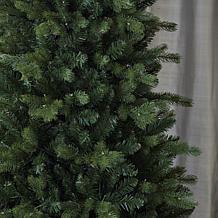 Seasonal LLC Palmetto Pine 6' Pre-Lit RGBW LED Christmas Tree