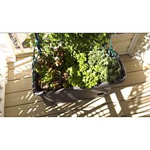 Self-Watering Mobile Veggie Patch with Trellis