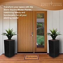 Sierra Square Wicker Planter 2-Pc. Set, Black