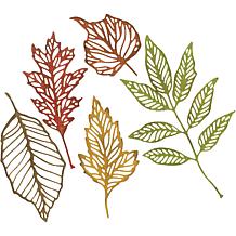 Sizzix Thinlits Dies By Tim Holtz 5-pack - Skeleton Leaves