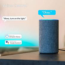 Smart WiFi BR30 E26 Dimmable Flood Light Bulb LB1- 6PK - 11W