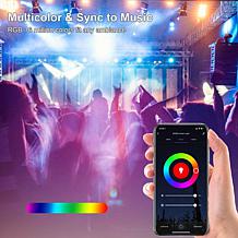 Smart WiFi BR30 E26 Dimmable Flood Light Bulb LB1- 6PK - 11W