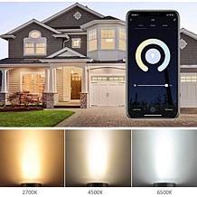 Smart WiFi PAR38 E26 Dimmable Recess Light Bulb LB2 - 8PK