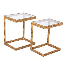 Southern Enterprises Rosemill Water Hyacinth C Tables 2pc Set