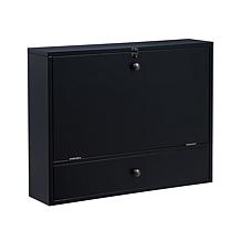 Southern Enterprises Wall Mount Laptop Desk - Black