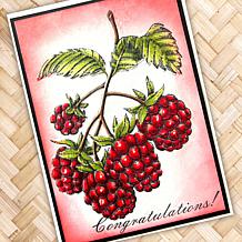 Stamps by Me Fruit Finesse Card Making 22pc Kit with Stamps & Folders