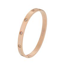 Stately Steel Cubic Zirconia Hinged Bangle Bracelet