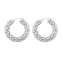 Stately Steel CZ Embellished Hoop Earrings