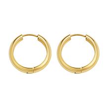 Stately Steel Stainless Steel Chunky Hoop Earrings