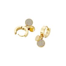 Stately Steel Stainless Steel Double Circle CZ Dangle Earrings