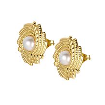 Stately Steel Stainless Steel Simulated Pearl Stud Earrings