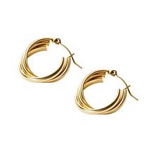 Stately Steel Stainless Steel Triple Overlapping Hoop Earrings