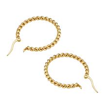 Stately Steel Stainless Steel Twist Hoop Earrings