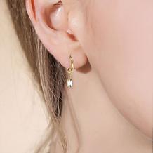 Stately Steel Stone Hoop Dangle Earrings