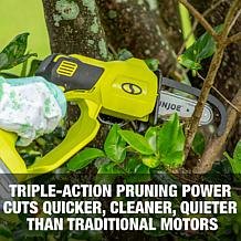 Sun Joe 24-Volt Cordless Handheld & Long Reach Chainsaw
