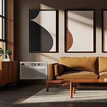 TCL 14,000 BTU 230V Smart Through-the-Wall Air Conditioner with Heat