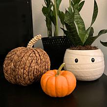 Ten Strawberry Street Little Mummy Canister 2-Pack