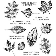 Tim Holtz Cling Stamps 7" x 8.5" - Nature's Wonder