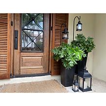 Unmatched Color Changing Lanterns - Set of 3