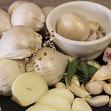 Van Zyverden 3 Cloves of Elephant Garlic