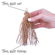 Van Zyverden Asparagus Purple Passion Roots - Set of 12