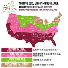 Van Zyverden Dayneutral Strawberries Flamingo - 20 Roots