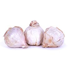 Van Zyverden Garlic Softneck Silverskin Italian Late - 3 Cloves