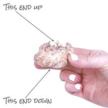 Van Zyverden Patio Pink Calla w/ Pink Planter, Soil and Growers Pot